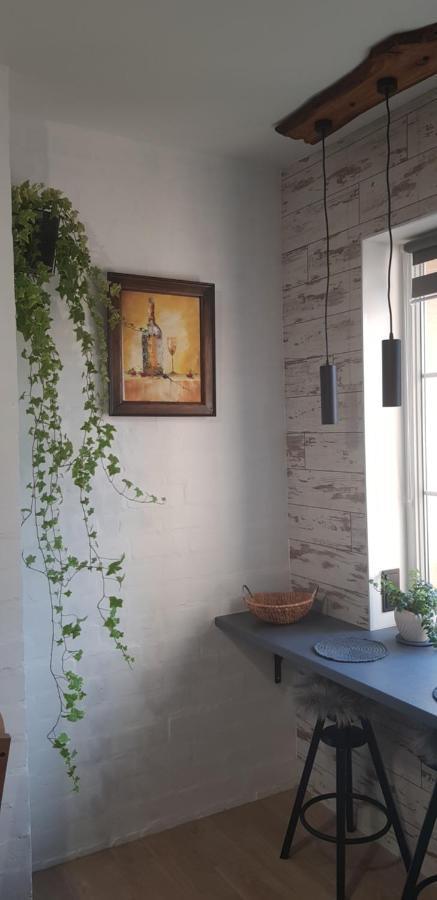 Dailidziu Apartamentai Kłajpeda Zewnętrze zdjęcie